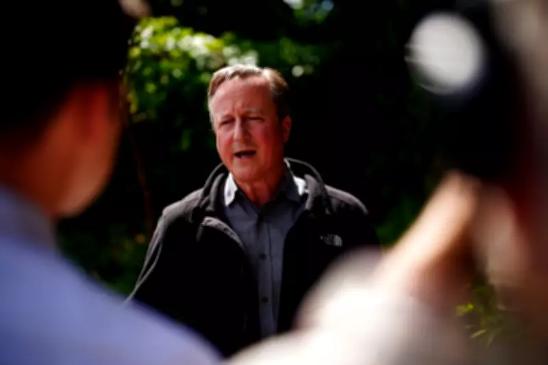 David Cameron Slams Labour's 'Damaging' School Reforms in Telegraph Warning