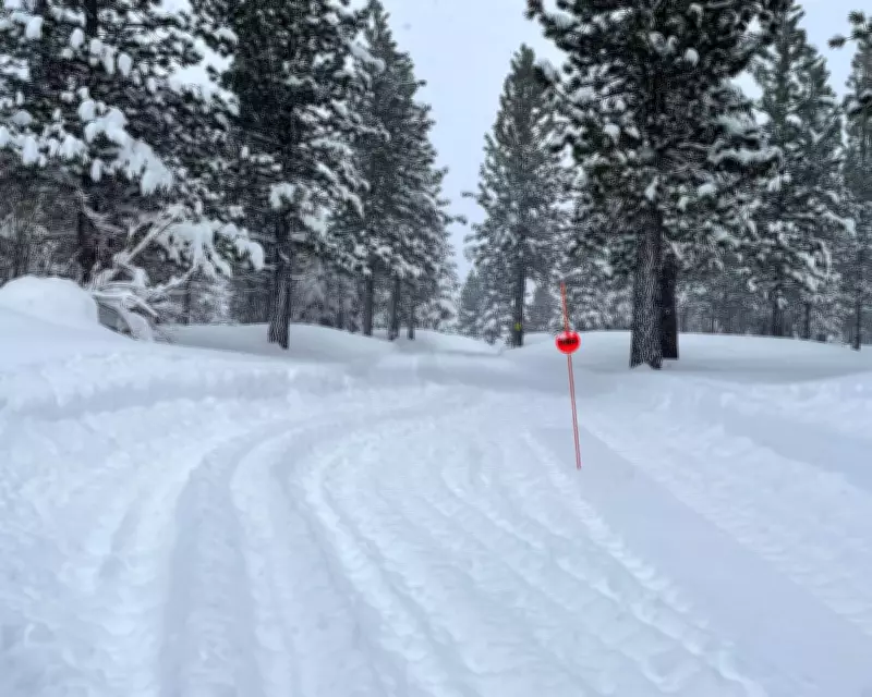 Deadly Avalanche in Sierra Nevada Marks Fourth Deadliest in US History