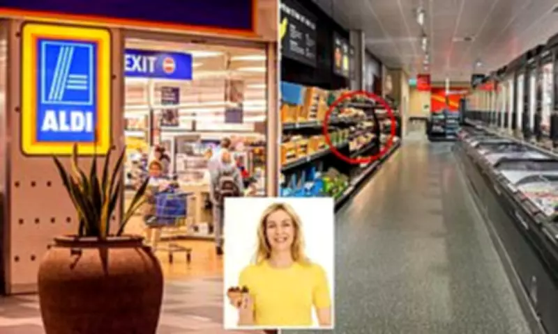 Dietitian's 11 Budget-Friendly Healthy Food Finds at Aldi Supermarkets