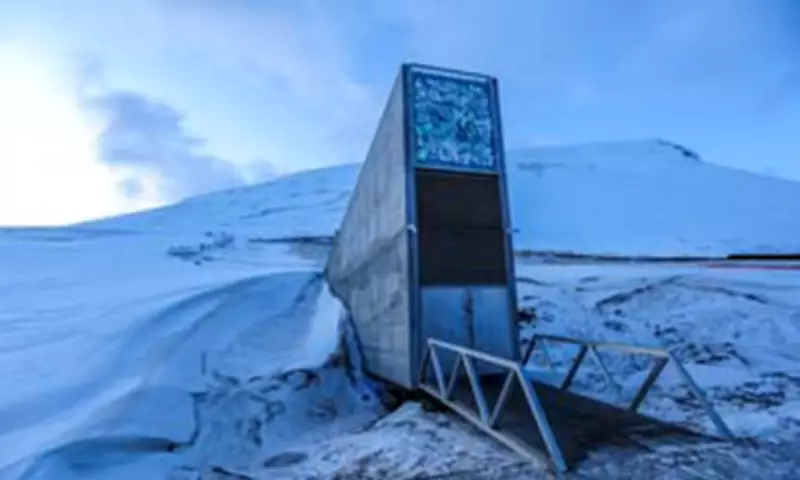 Doomsday Vault Expands: 7,800 New Seed Varieties Secured in Arctic Bunker