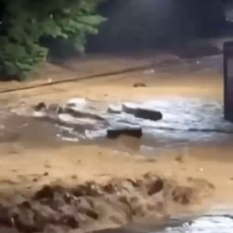 Dozens of Coffins Float Through Brazilian Streets in Devastating Flash Floods