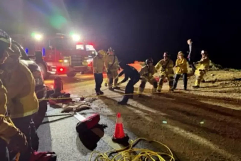 Driver Killed After Car Plunges 500ft from Big Sur Cliff on California's Highway 1