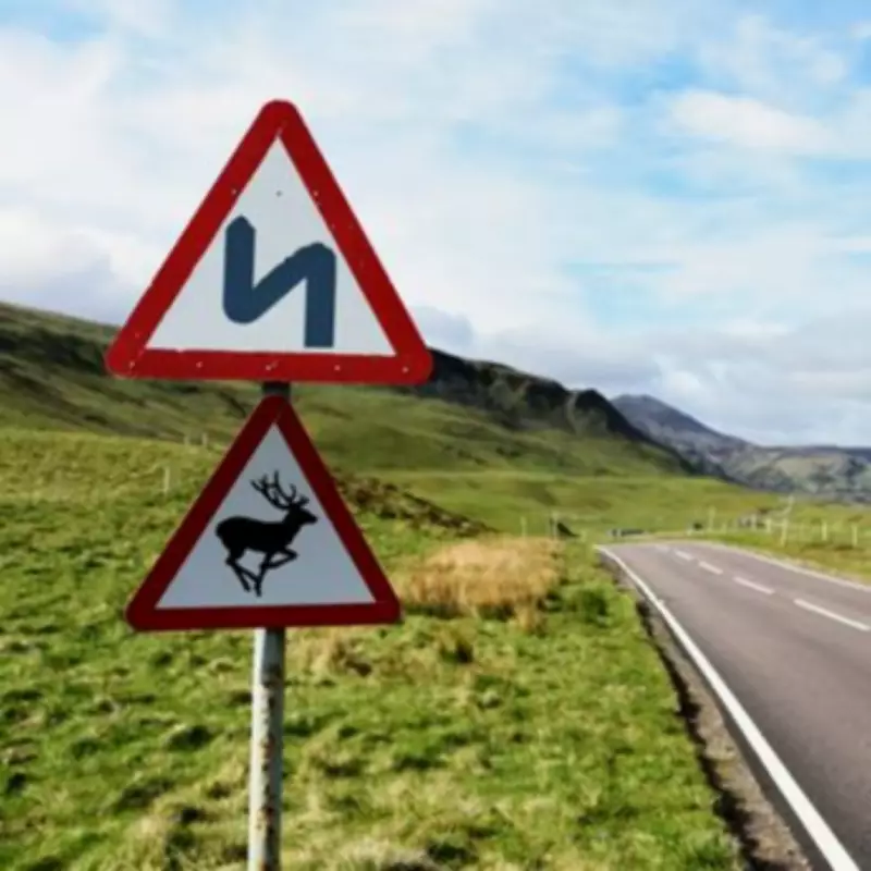 Driving Examiner Reveals Simple Trick to Remember Confusing Hill Warning Sign