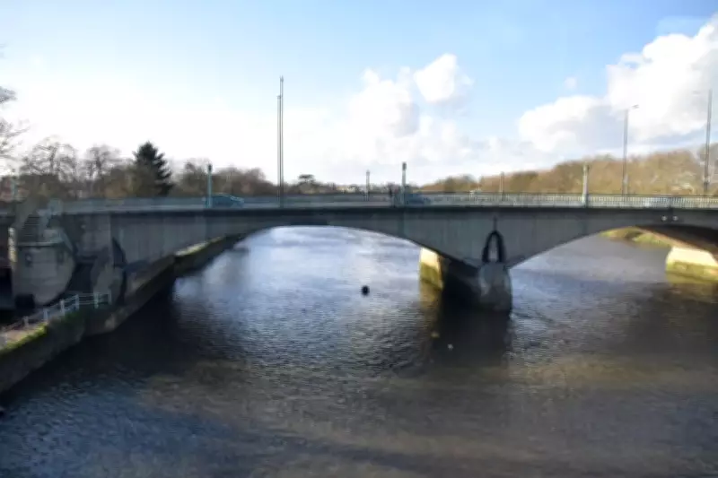 Drunk Father Shouts 'Let Them Die' While Tossing Kittens into Thames