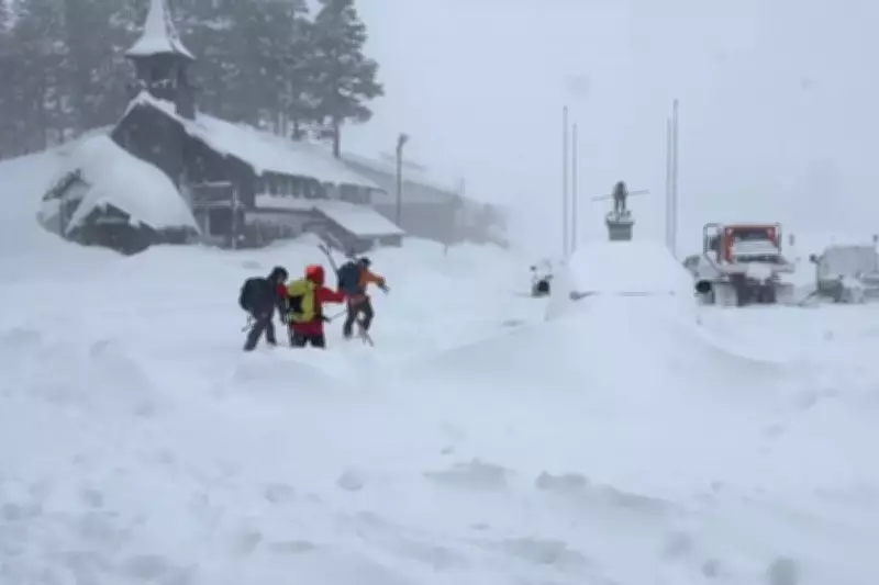 Eight Skiers Dead, One Missing After Lake Tahoe Avalanche Tragedy