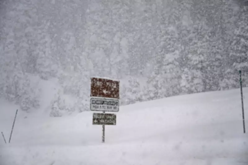 Eight Skiers Found Dead in California Avalanche, Search Continues for One