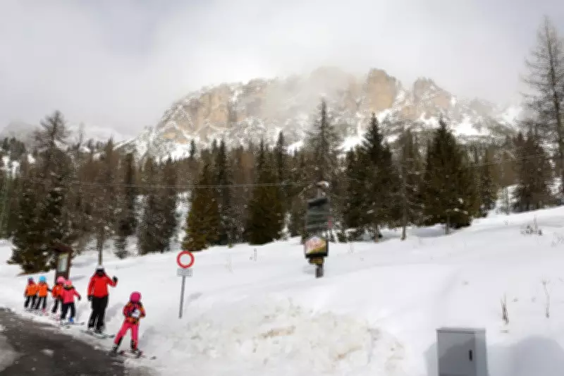 Eight Skiers Found Dead in Lake Tahoe Avalanche, One Still Missing