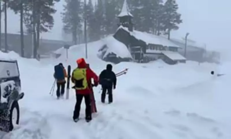 Eight Skiers Killed and One Missing in California Avalanche Tragedy