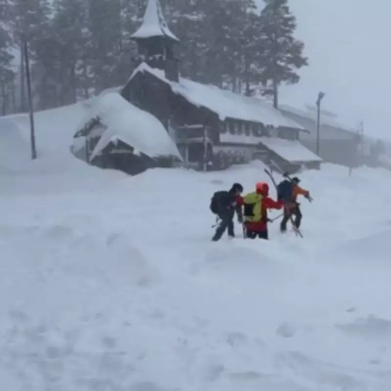 Eight Skiers Killed in California Avalanche, One Missing in Deadliest US Incident in Decades