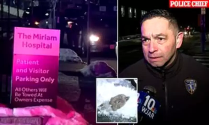 Elderly Mother and Son Found Dead in Car After Snowstorm in Rhode Island