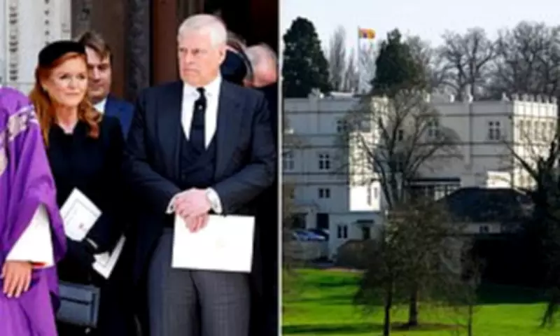 Emails Reveal Sarah Ferguson's Bankruptcy Fears and Epstein's Role in Royal Finances