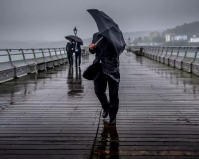 Embracing Britain's Endless Rain: A Defence of Our Damp Winters