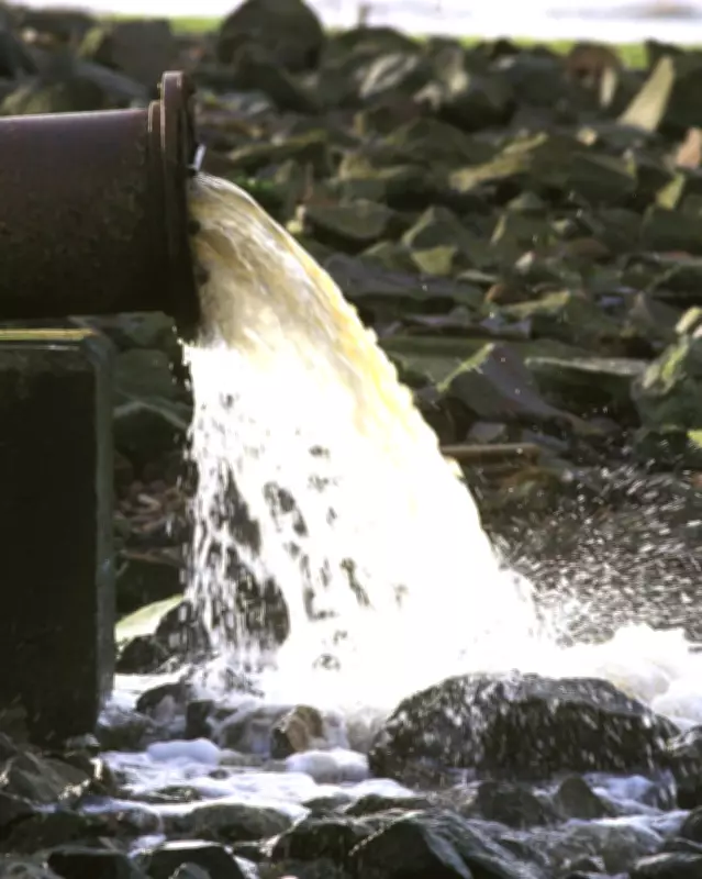 English Water Firms Amass 1,200 Pollution Convictions, Yet No CEOs Face Charges