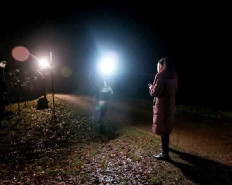 Epstein Files Embolden Conspiracy Theorists Amid Prince Andrew Arrest