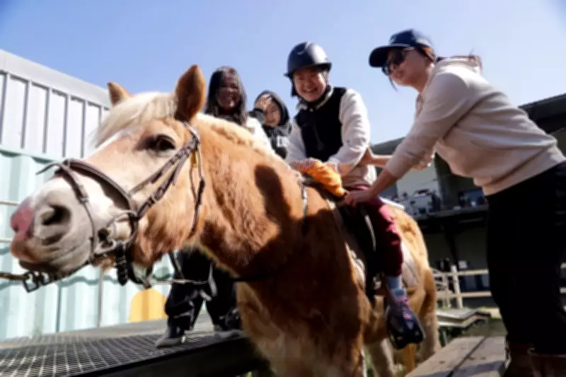 Equine Therapy Brings Joy and Healing to Disabled Children in Taiwan