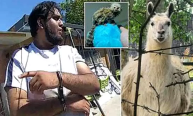 Essex Kennel Owner Jailed for Animal Cruelty and Fraud in Horrific Case