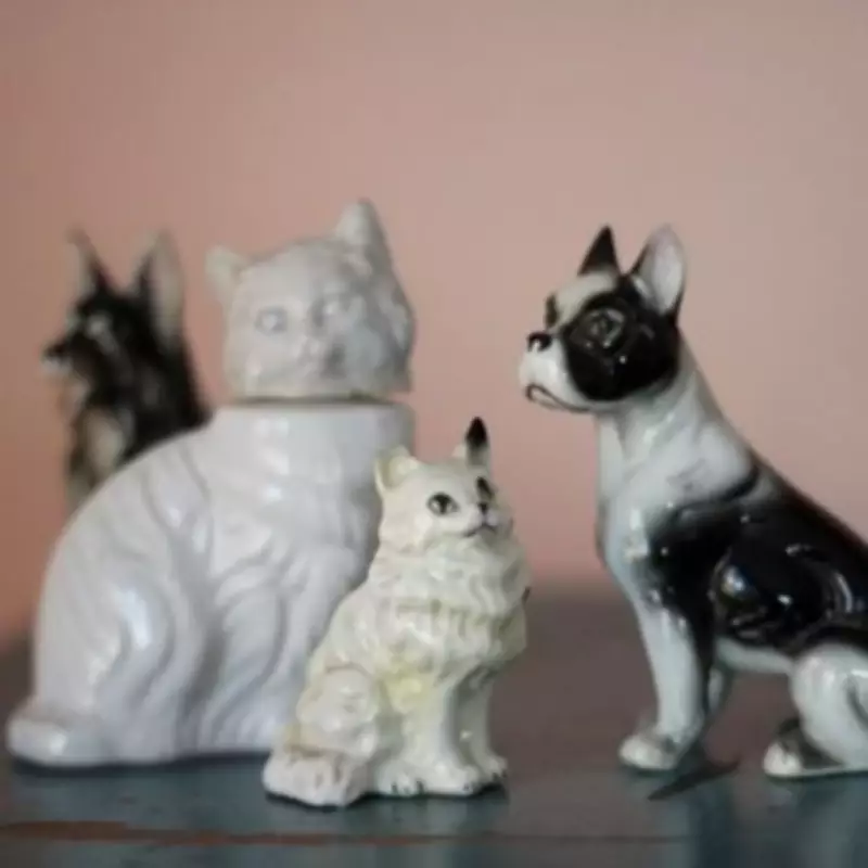 Estate Sale Cat Statue Bought for £18 Revealed as Valuable Fornasetti Art