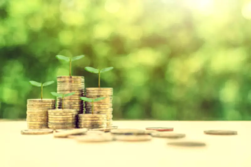 Ethical ISA Investing: Balancing Values with Financial Returns