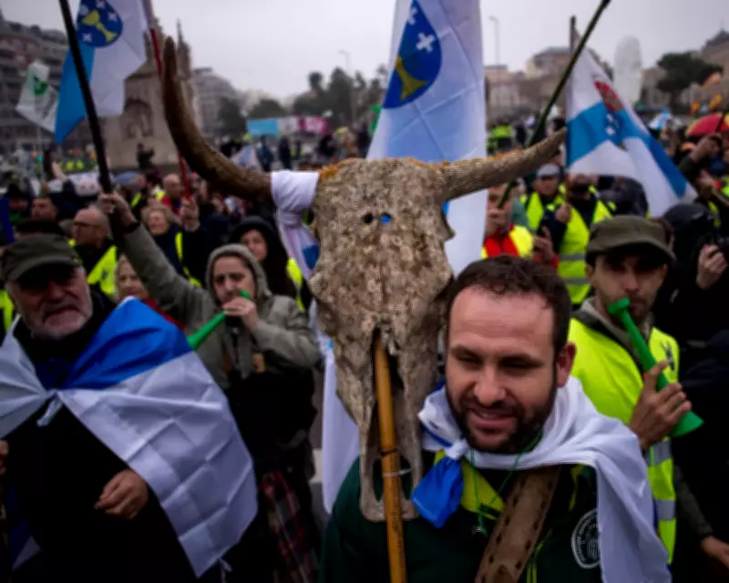 EU Subsidies Favour Beef and Lamb Over Legumes, Study Reveals
