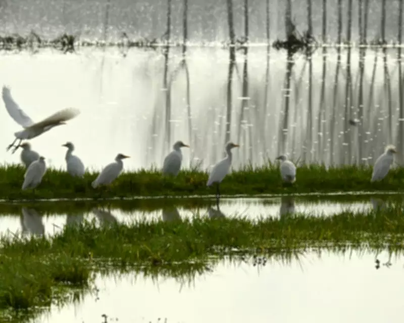 Europe's Spring Weather Shifts: France Faces Unusual Warmth, Boston Braces for Blizzards