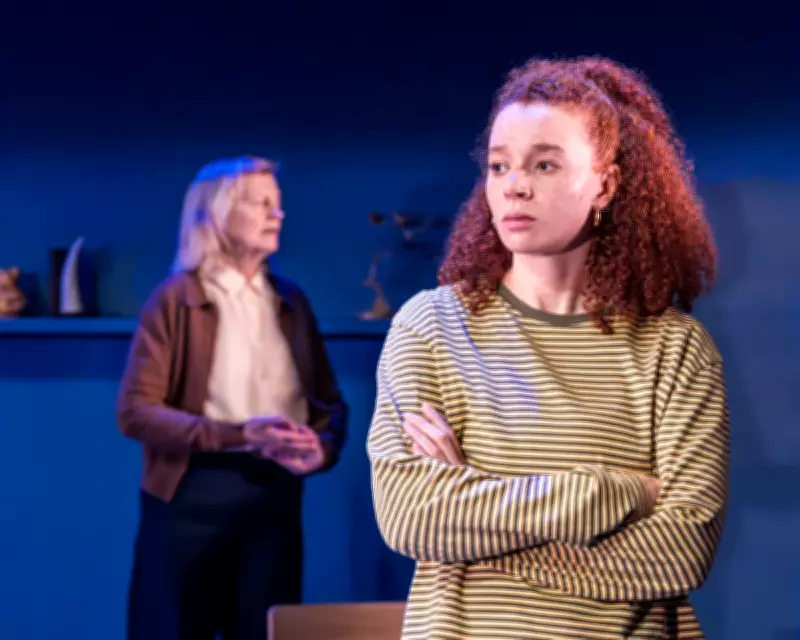 Evening All Afternoon Review: A Riveting Theatrical Experience at Donmar Warehouse