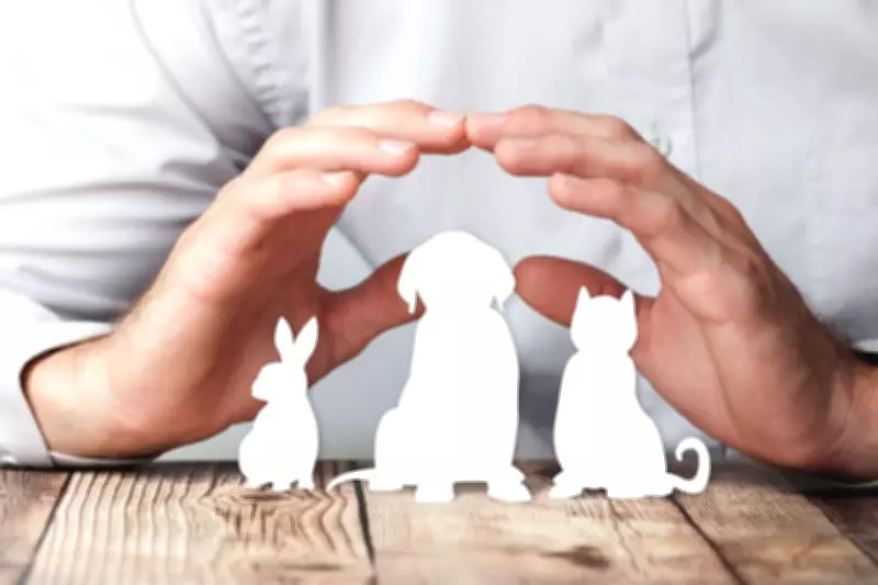 Expert Advice on Reducing Skyrocketing Veterinary Bills for Pet Owners