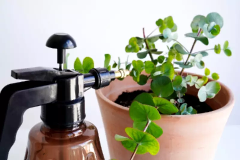 Expert Warns Against Weekly Plant Watering, Debunks Common Houseplant Myths
