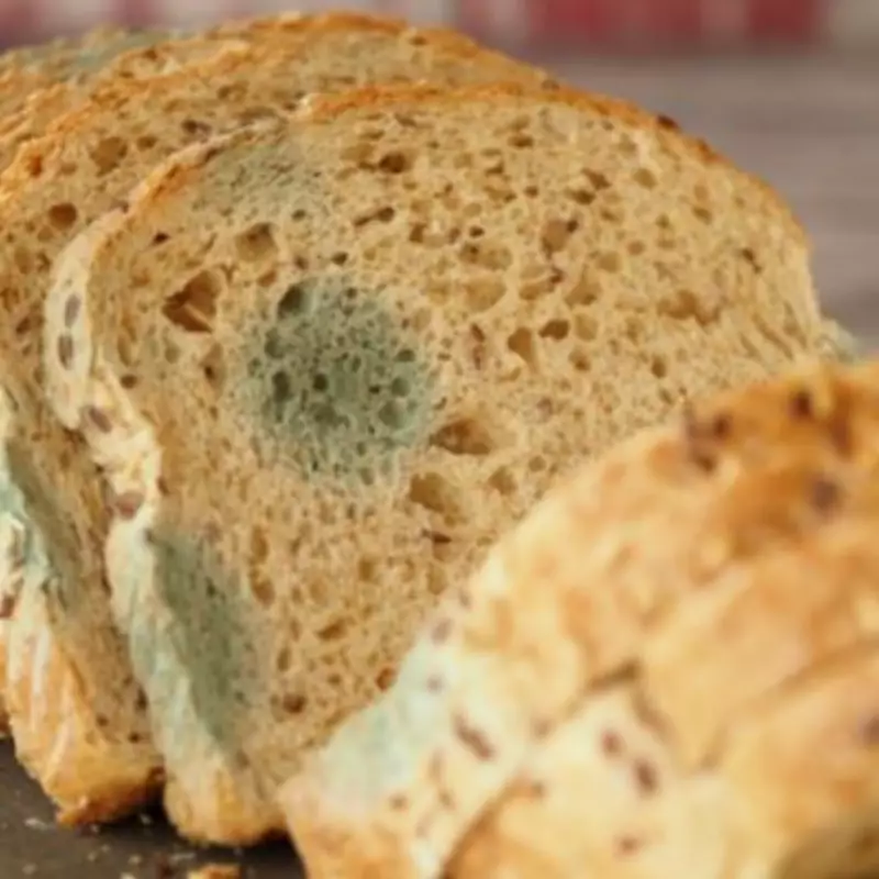 Experts Warn Against Eating Mouldy Bread: Hidden Dangers Revealed