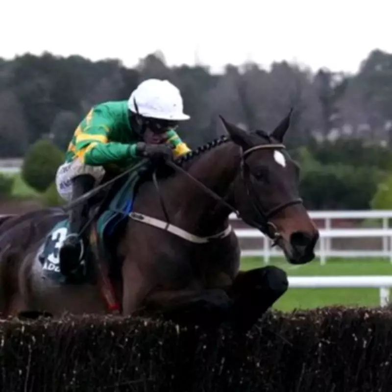 Fact To File Triumphs in Irish Gold Cup as Favourite Galopin Des Champs Beaten