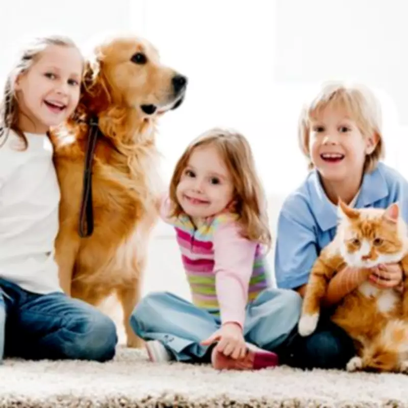 Family Dogs Create Unique Indoor Air Environment That May Benefit Children's Health