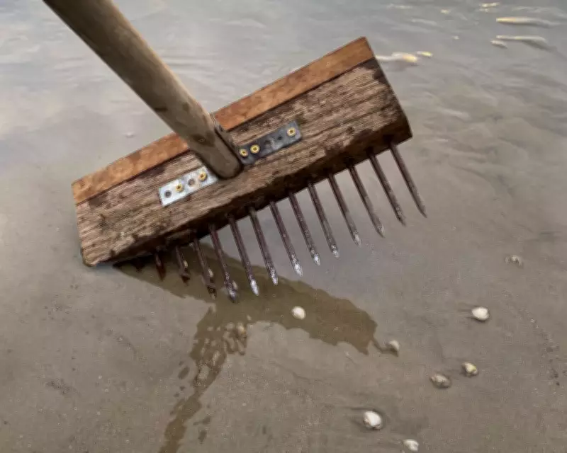Family Foraging on Romney Marsh: A Kentish Coastal Tradition