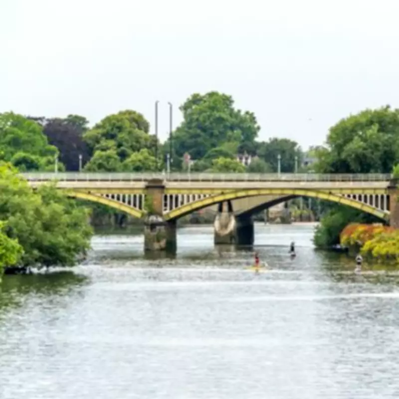 Father Who Threw Kittens Off Bridge While Shouting 'Let Them Die' Avoids Jail