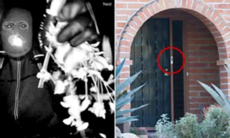 FBI Recovers Nest Footage in Missing Woman Case, Sparking Privacy Debate