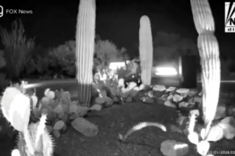 FBI Reviews 10,000 Hours of Footage in Nancy Guthrie Missing Person Case