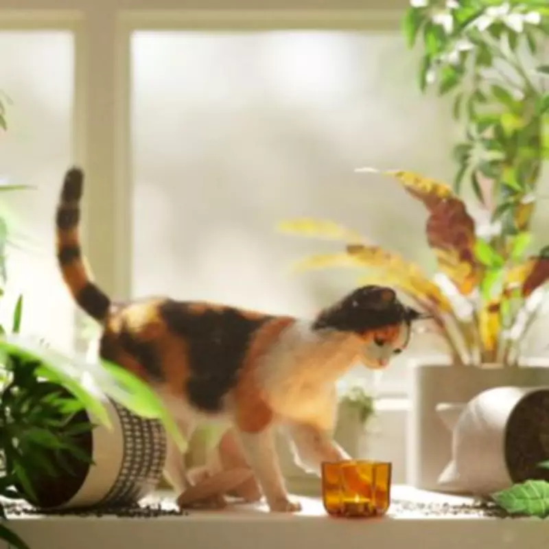 Feline Frustration: The Real Reasons Cats Knock Items Off Tables Revealed