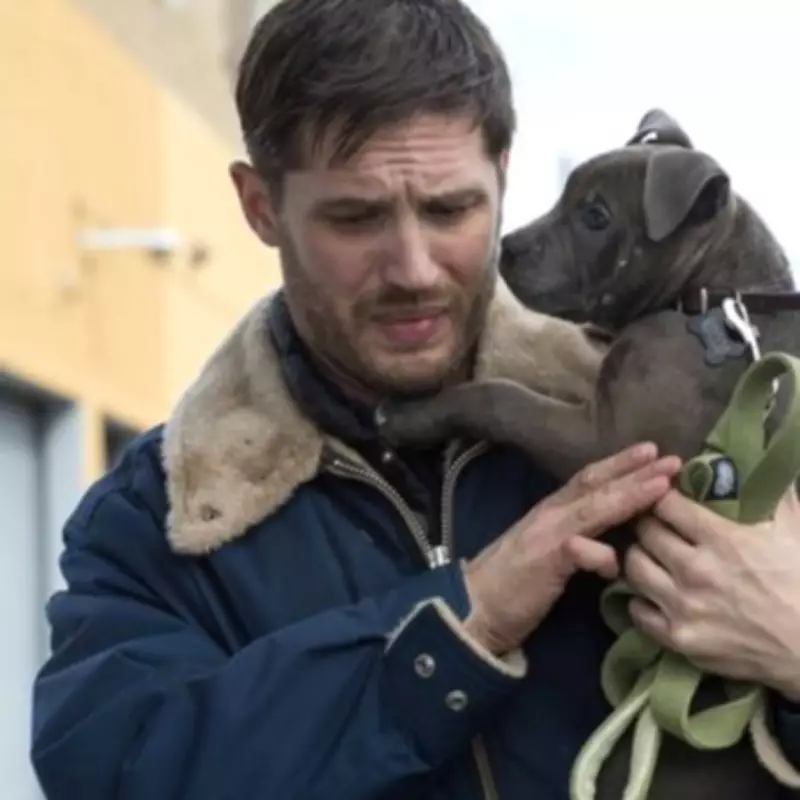Film4 Airs 'The Drop' Tonight: Tom Hardy & James Gandolfini's Final Role
