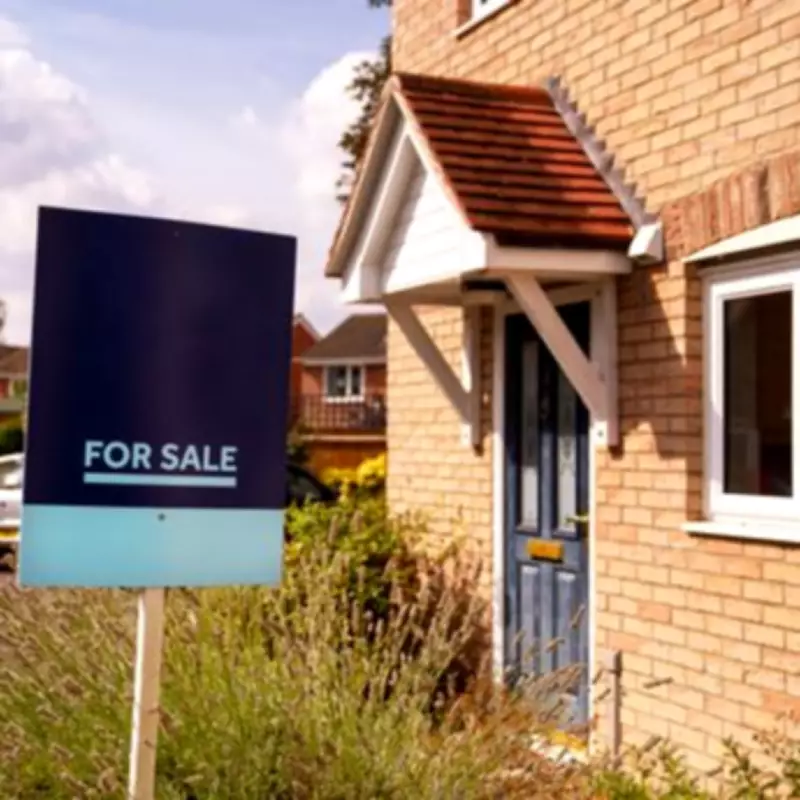 Financial Expert Warns Young Adults Against Early Home Buying Mistake