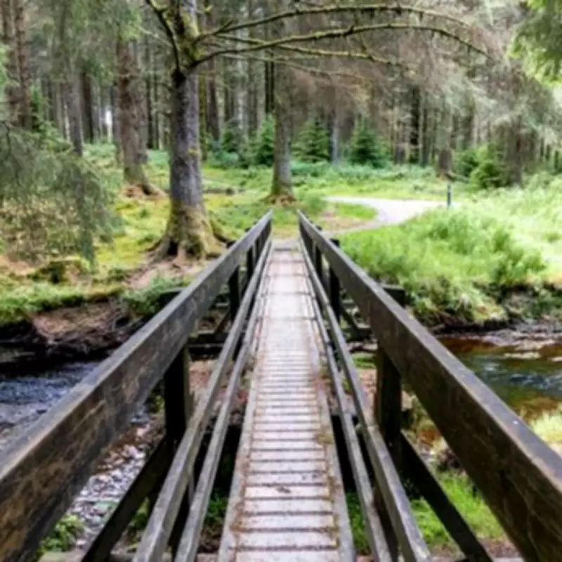 Five Stunning UK Walks With Perfect Views That Are Completely Free