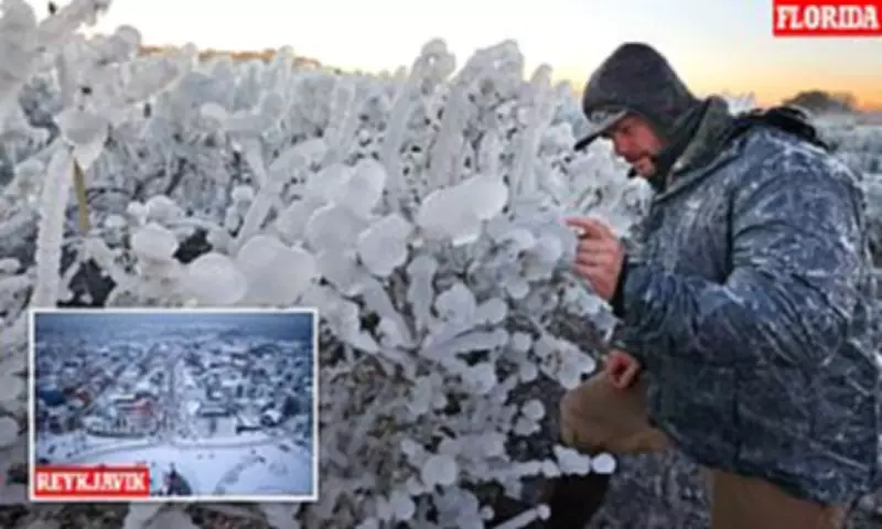 Florida Braces for Colder Temperatures Than Iceland Amid Bomb Cyclone