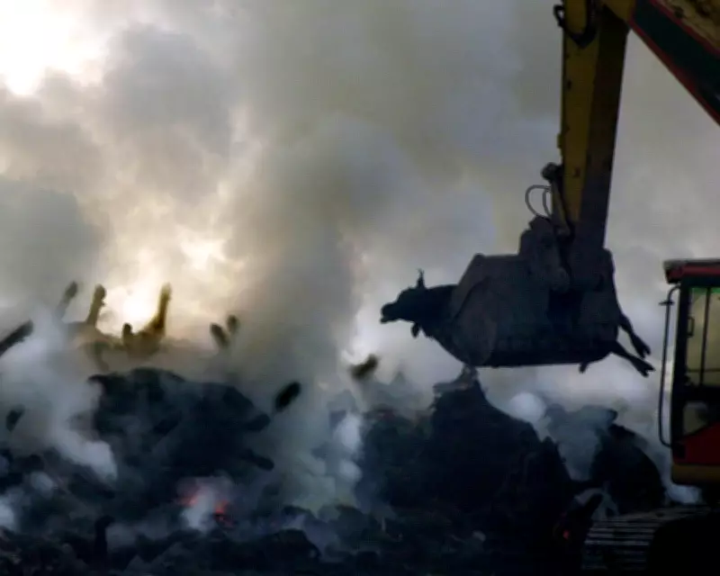 Foot and Mouth Crisis: 25 Years On, Lessons from the 2001 Epidemic