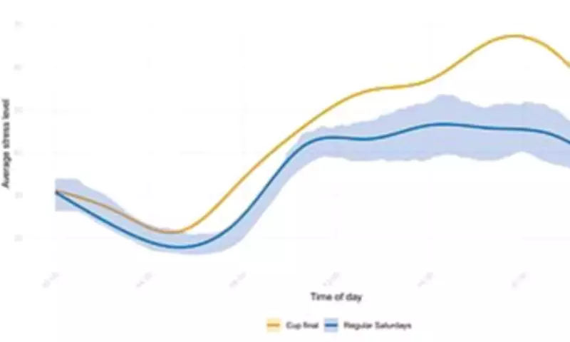 Football Fever Study Reveals 41% Stress Spike in Fans on Match Days
