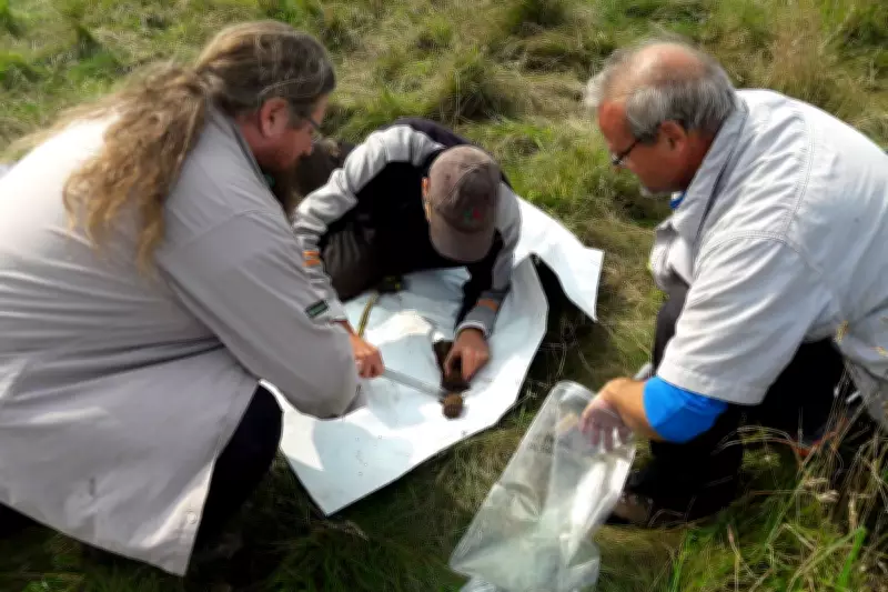 Forests' Deep Soil Carbon Storage Less Effective Than Believed, Study Reveals