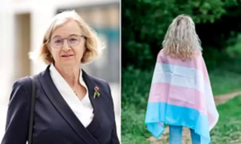 Former Ofsted Chief Warns Labour's Gender Rules Could Exclude Parents