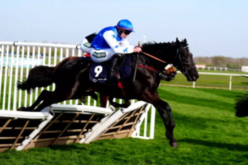 Friday Racing Tips: Expert Picks for Kelso's Competitive Card