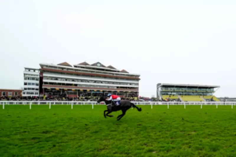 Friday's Horse Racing Tips: Expert Picks for Newbury and Doncaster