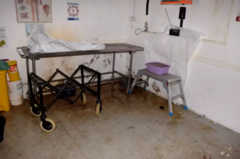 Funeral Directors Jailed for Storing Bodies in Decomposed Conditions