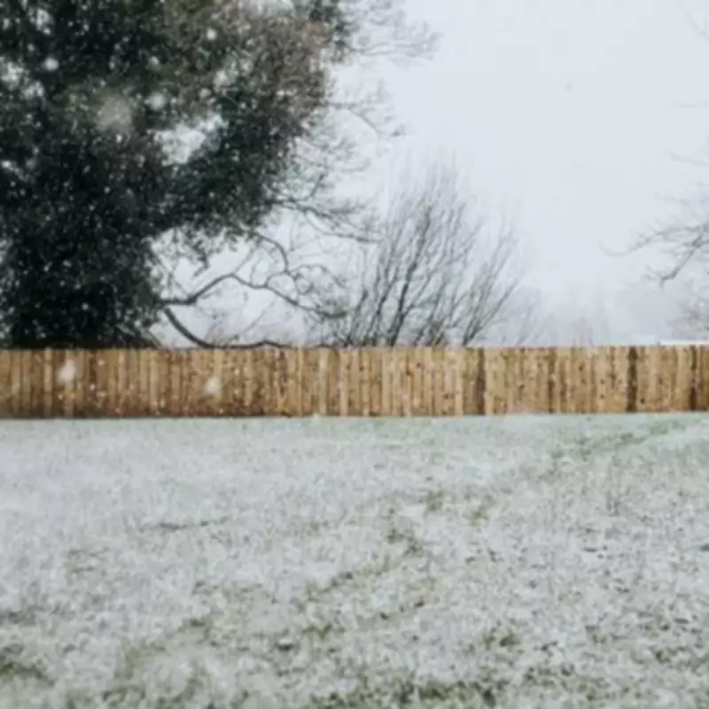 Gardeners Warned: Avoid This February Task for Lush Spring Lawns