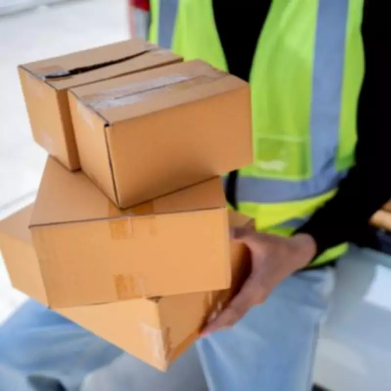 Gardening Expert Reveals Cardboard Planter Hack to Save Money and Help Environment