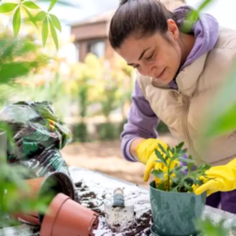 Gardening Expert Warns: Check Your Potted Plants Now to Avoid Common Mistakes