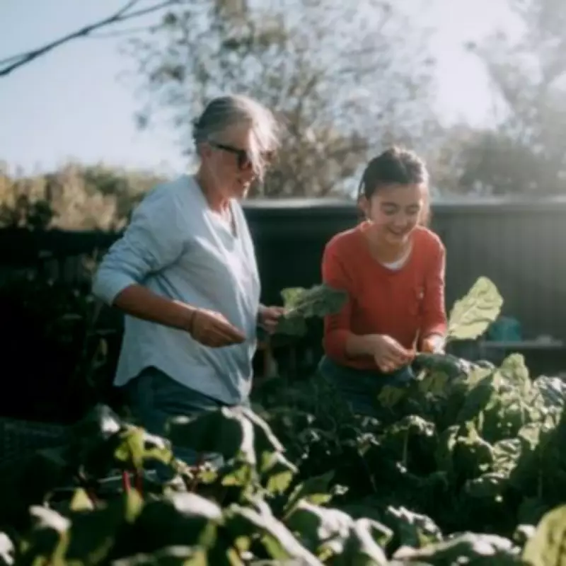 Gardening Expert's Simple January Trick to Protect Vegetable Beds from Winter Chill
